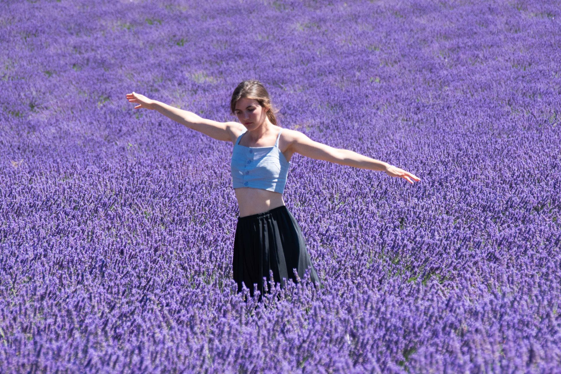 sur une mer de lavande — champs de couleur, photographie 1