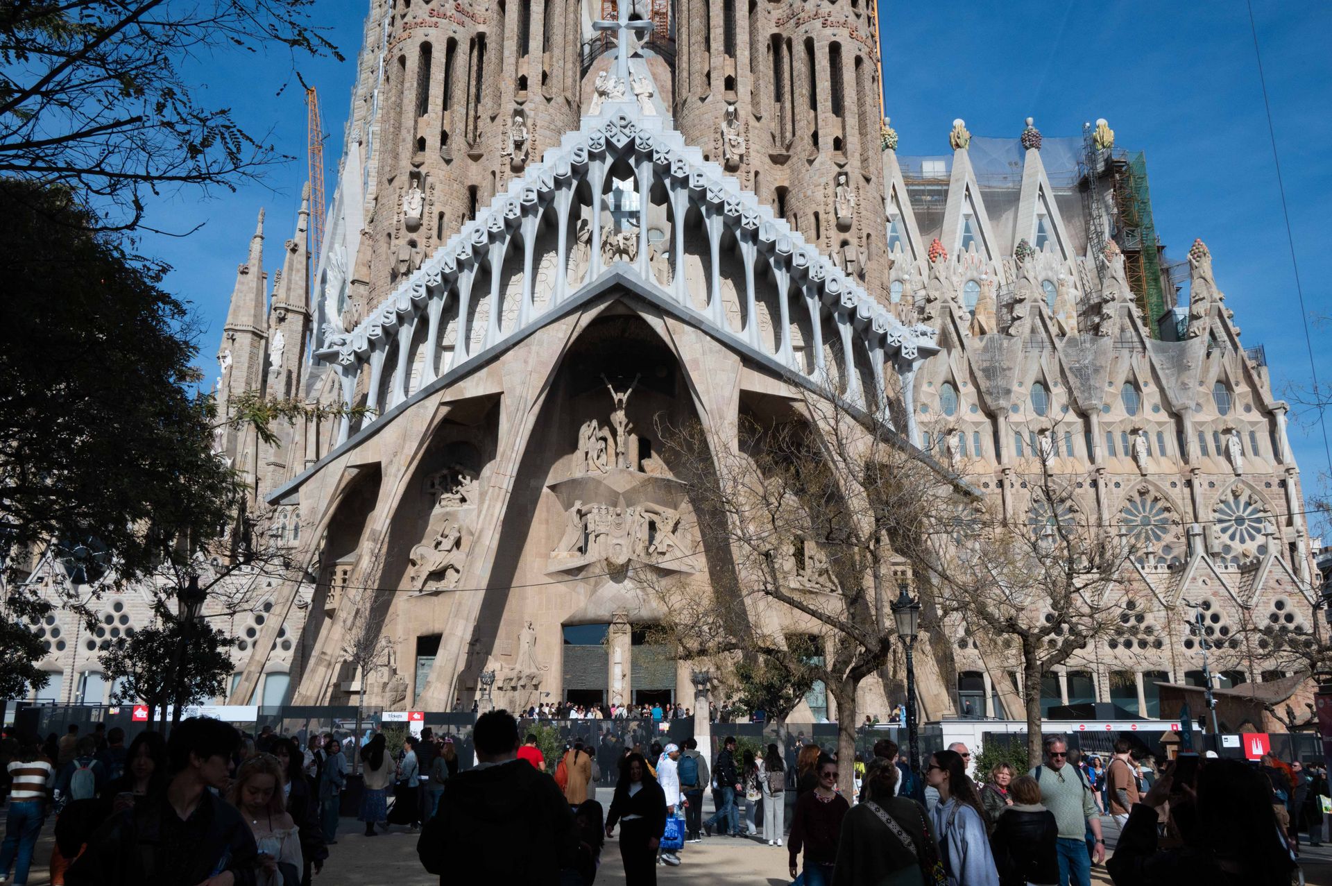La Cathédrale de GAUDI — cathedrales de lumiere, photographie 13