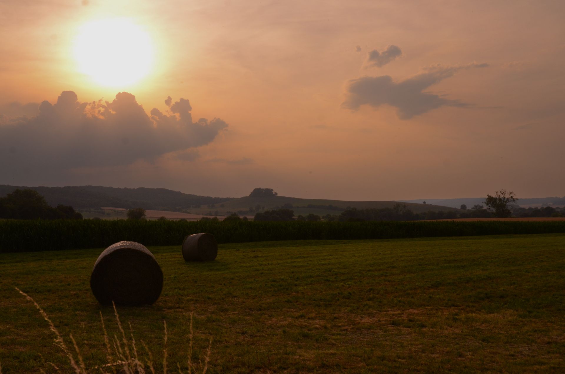 champs dores — champs de couleur, photographie 10