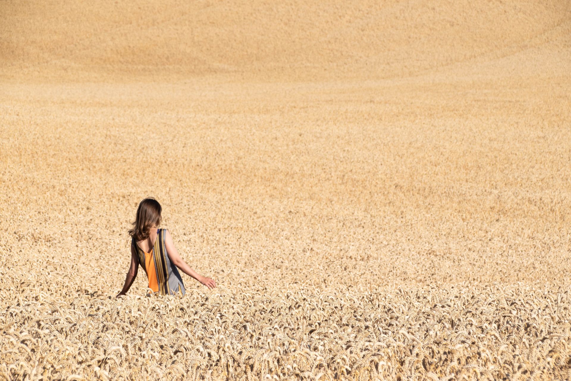 champs dores — champs de couleur, photographie 1