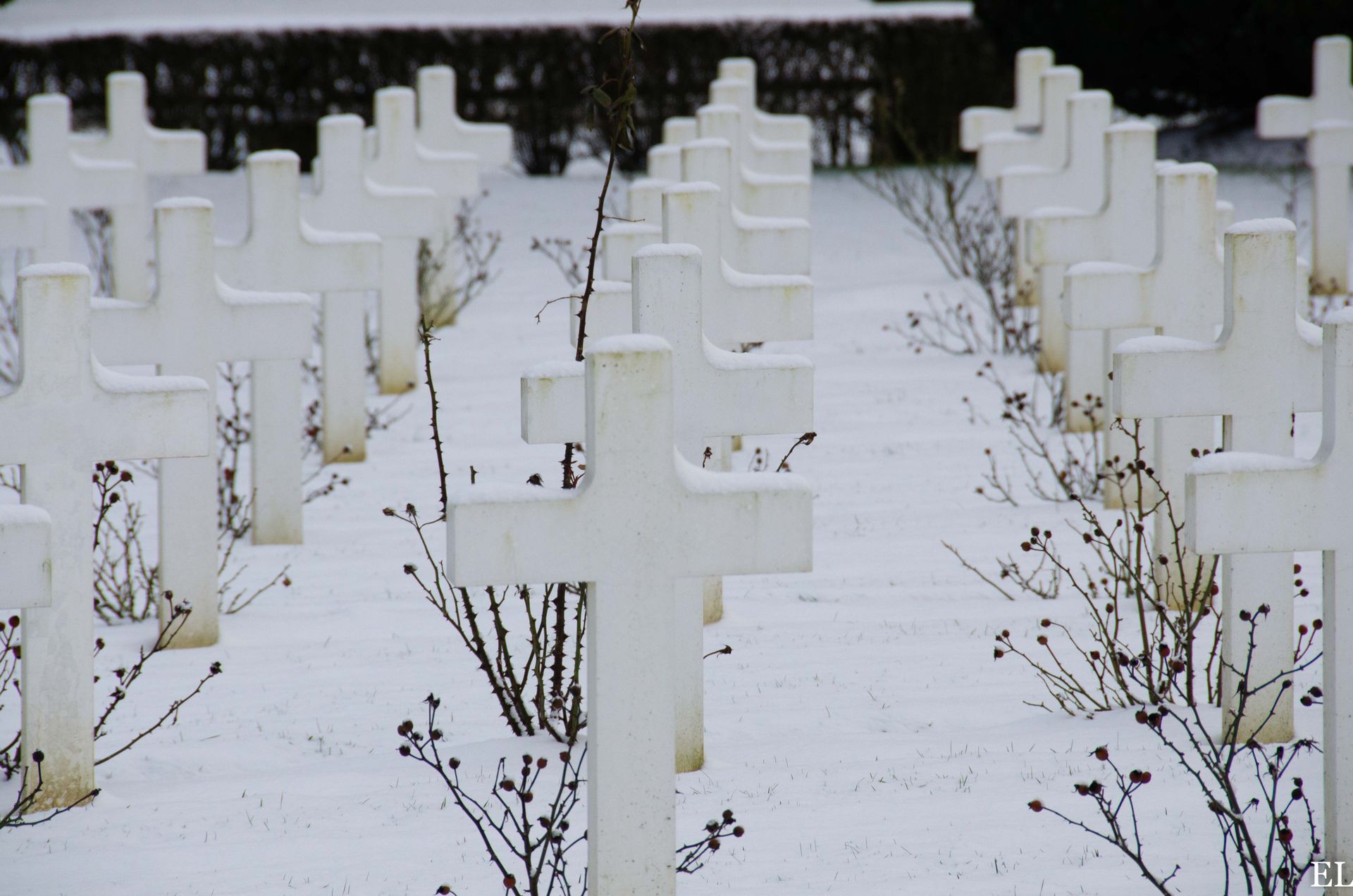 douaumont — france, photographie 5
