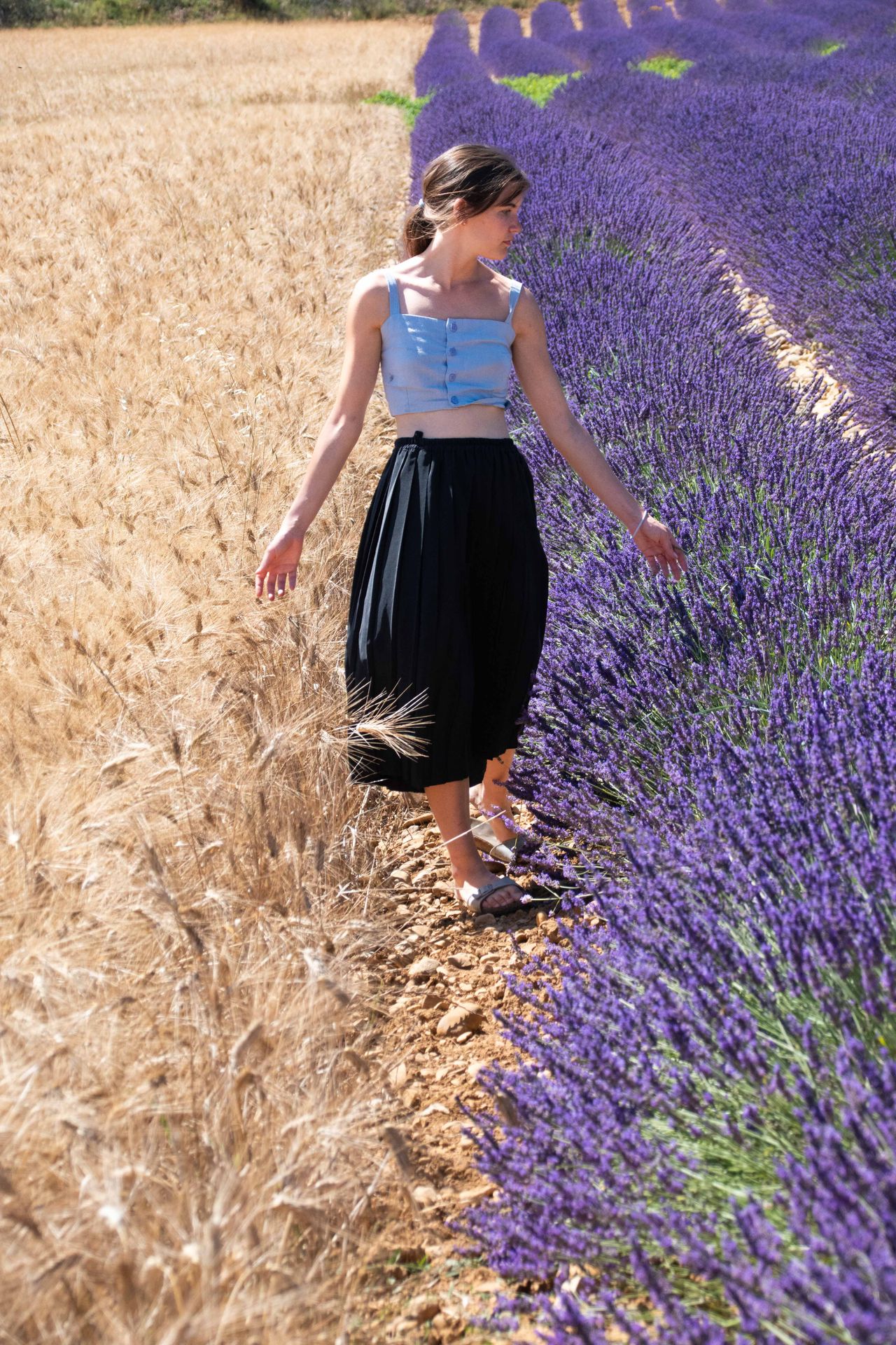 sur une mer de lavande — champs de couleur, photographie 16