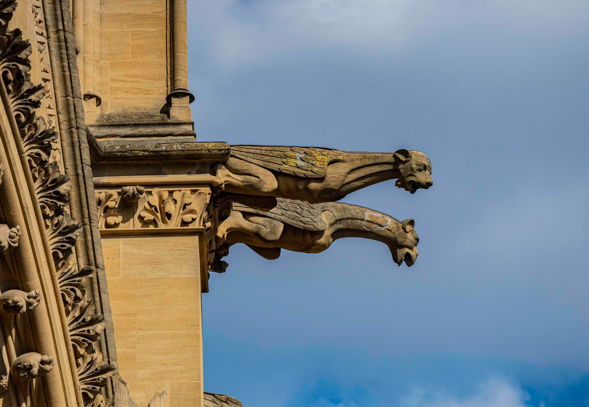 La Lanterne du Bon Dieu — cathedrales de lumiere, photographie 69