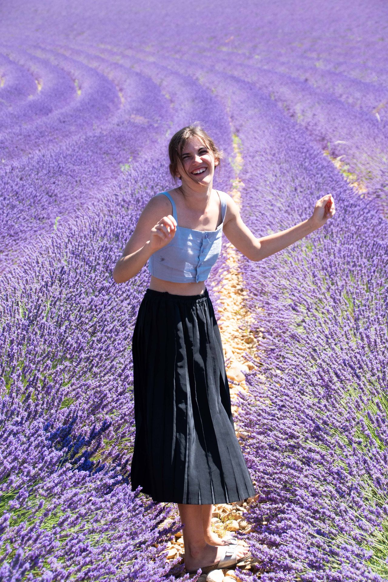 sur une mer de lavande — champs de couleur, photographie 6