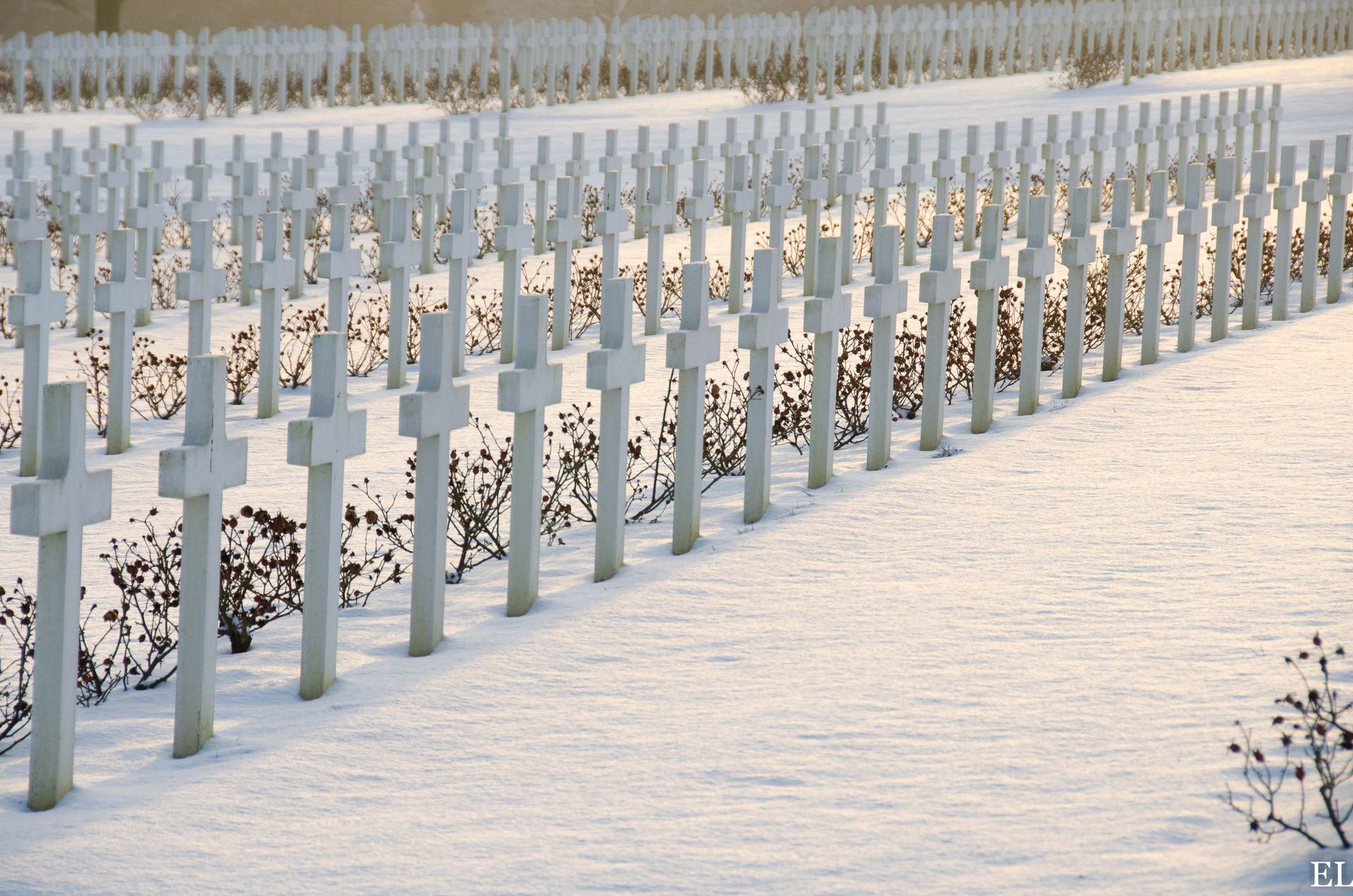douaumont — france, photographie 19
