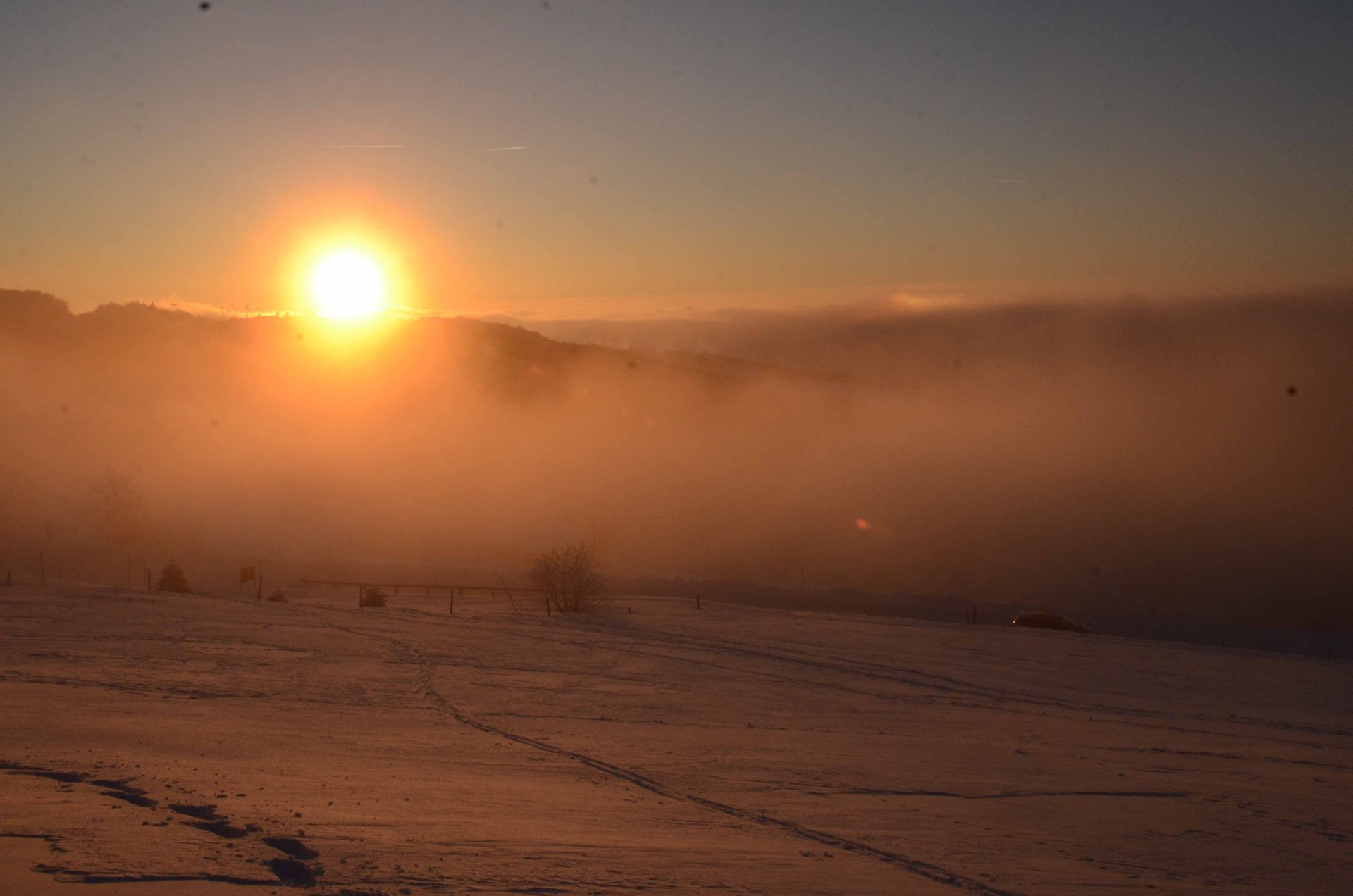 les roses d'hiver ne meurent jamais — projets, photographie 10