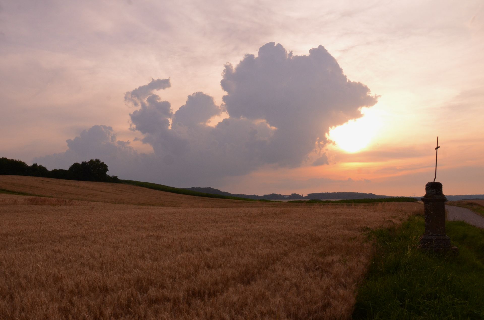 champs dores — champs de couleur, photographie 12