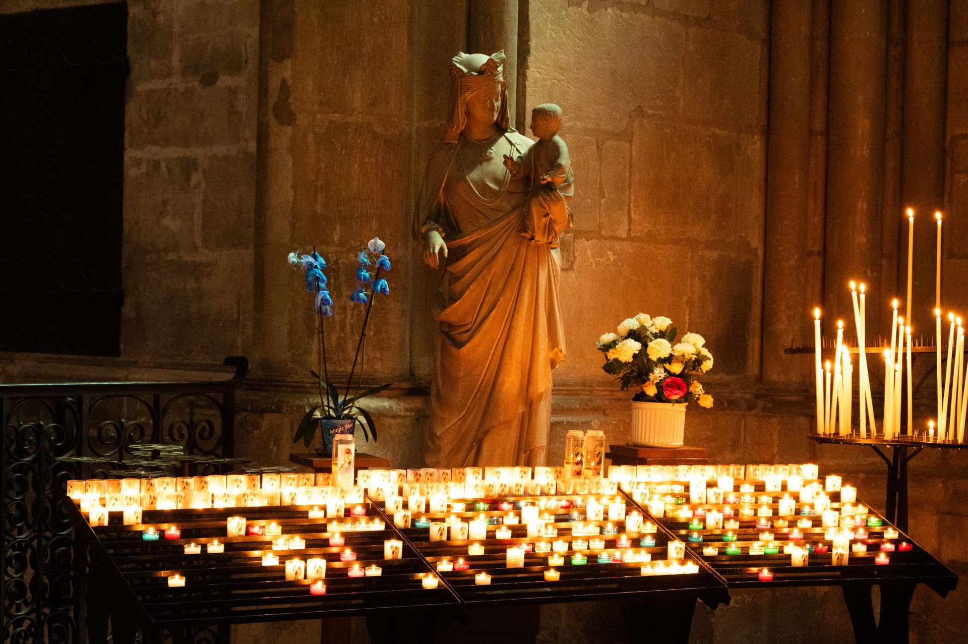 reims — cathedrales de lumiere, photographie 20