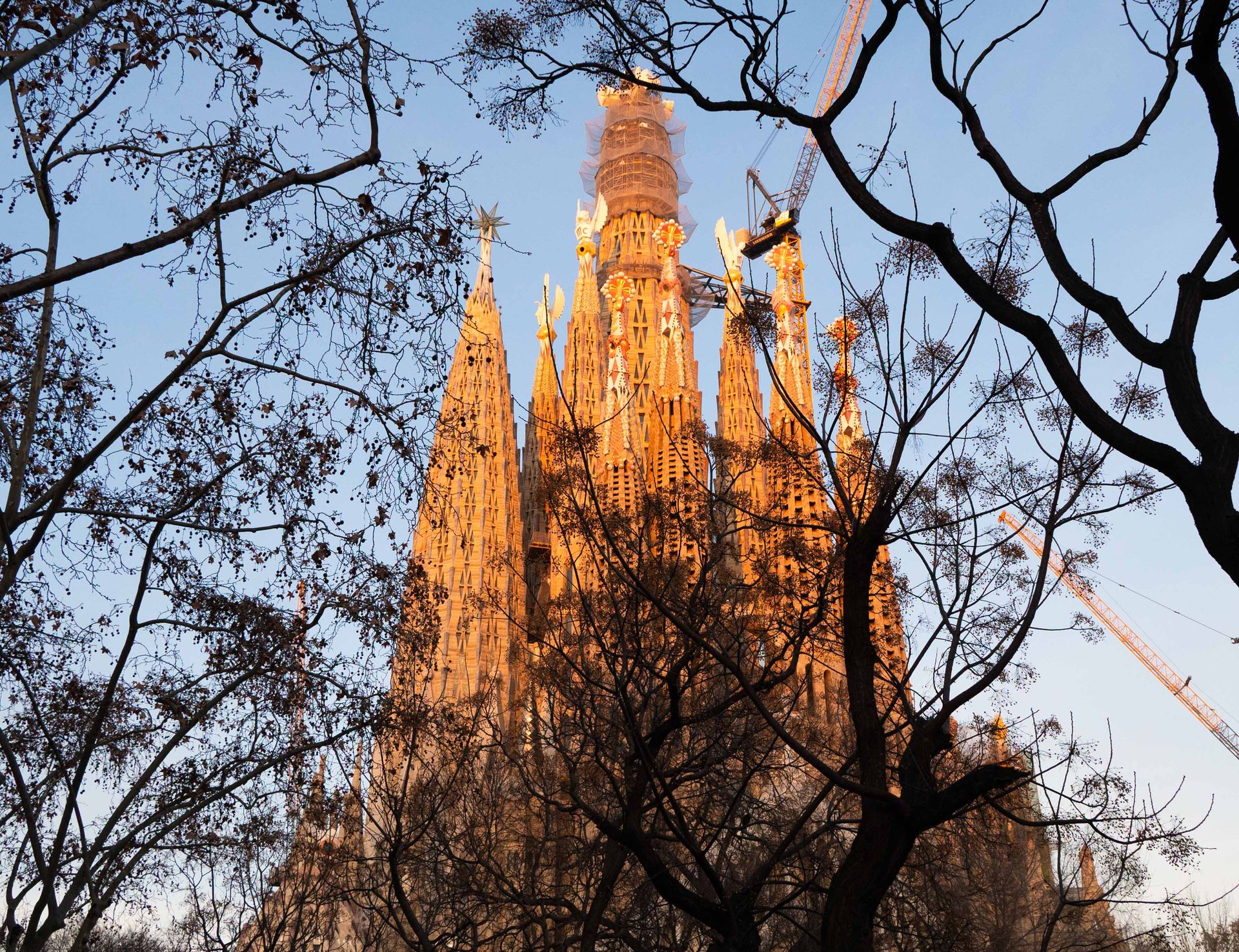 cathedrales de lumiere