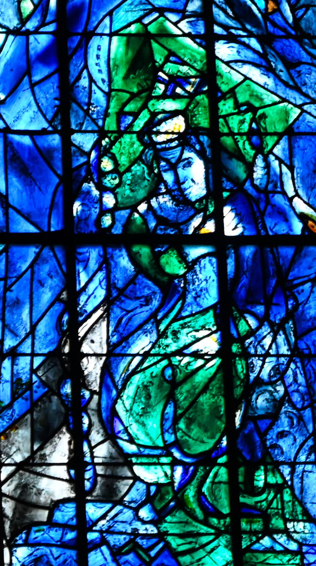 reims — cathedrales de lumiere, photographie 19