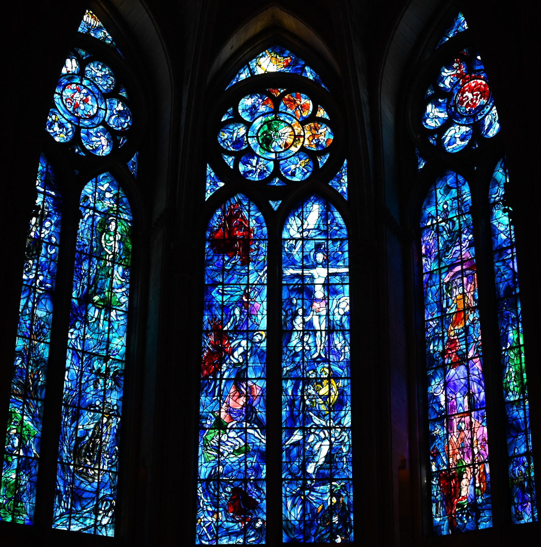reims — cathedrales de lumiere, photographie 16