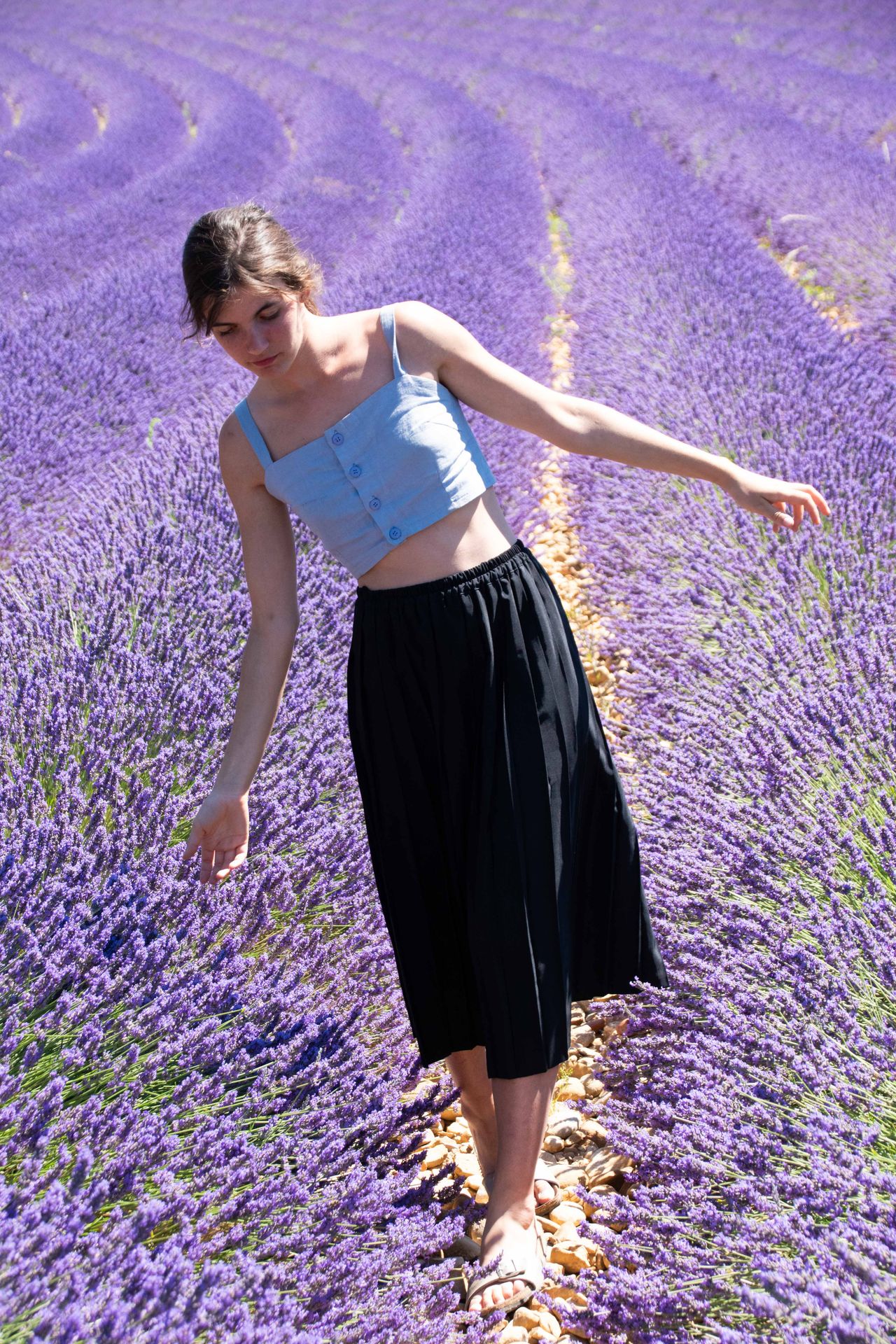 sur une mer de lavande — champs de couleur, photographie 7