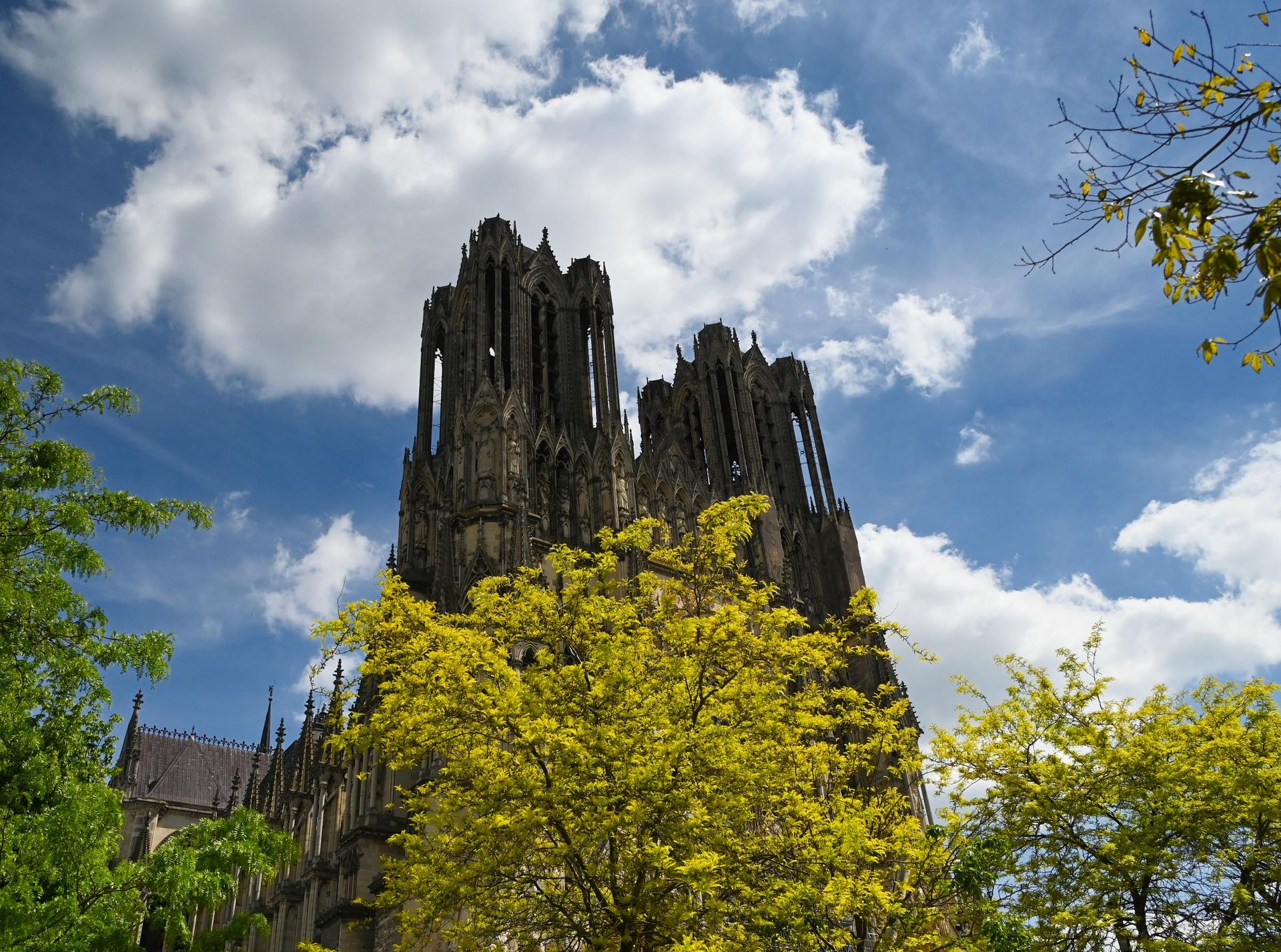 reims — cathedrales de lumiere, photographie 23